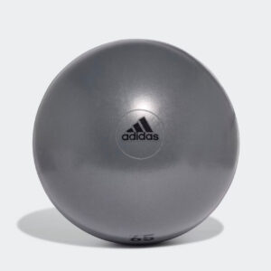 Performance Ankle Support